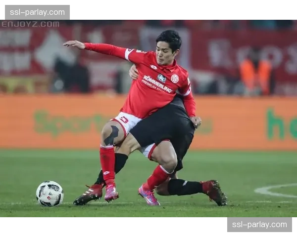 告别传奇：美因茨为效力十二年的队长布罗辛斯基举办纪念仪式